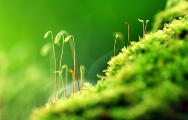 山东省潍坊市实现县级法学会建设全覆盖