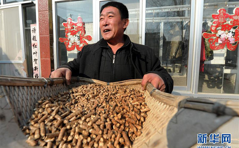 生物质清洁取暖燃料进乡村